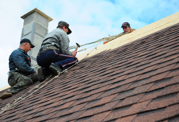 Best New Roof Installation  in Harb, OR